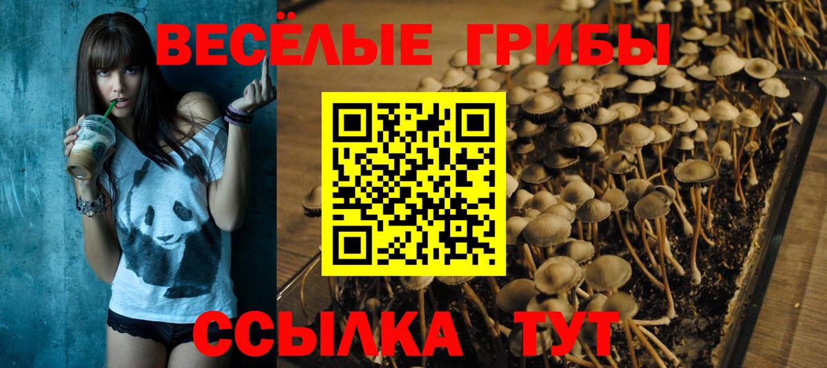 Псилоцибиновые грибы мухоморы Грозный
