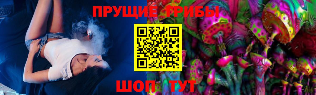 Грозный  Псилоцибиновые грибы MAGIC MUSHROOMS  Вход с VPN  Галлюциногенные грибы Psilocybe 